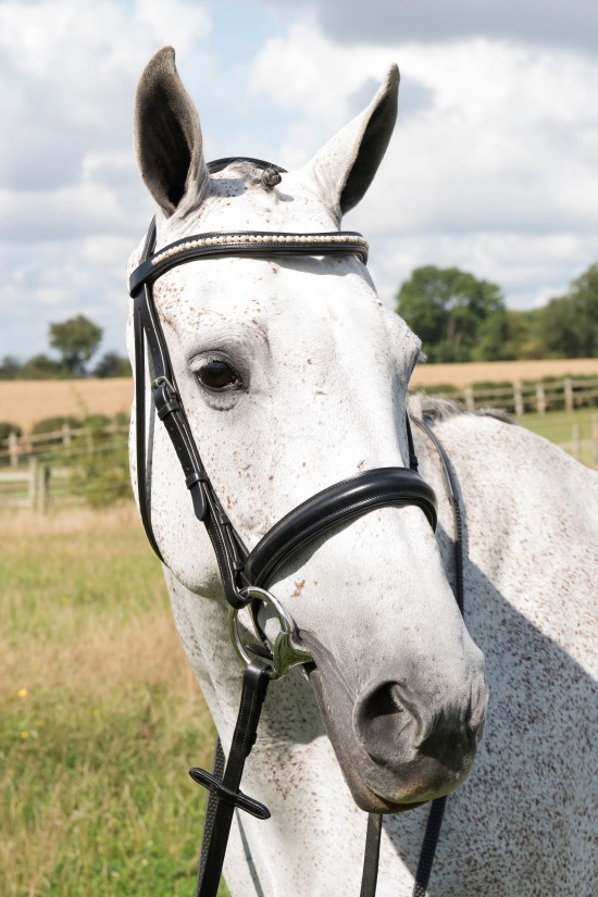 Build A Double Comfort Bridle